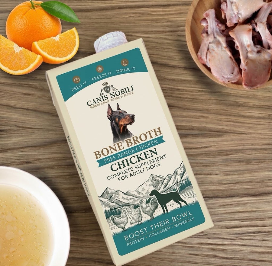 Bone Broth for Dogs