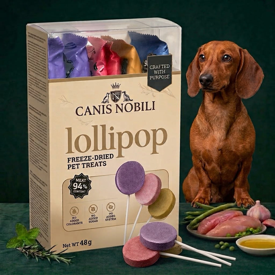 CANIS Nobili lollipops for dogs, long-lasting natural chew treats for dental health